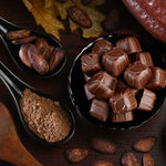 Assorted chocolate candies, cocoa powder, and cacao beans on a dark surface with autumn leaves.