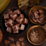 Chocolate truffles in a black bowl with cocoa beans and cocoa powder on a wooden surface.