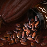 cocoa-beans